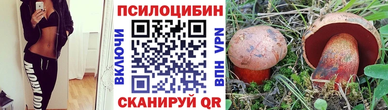 Галлюциногенные грибы ЛСД  omg ONION  Междуреченск 